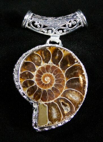 Cut & Polished Ammonite Pendant #3148